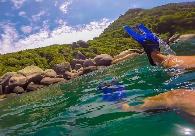 Mergulho na Ilha do Arvoredo (Foto: Destino Algum)