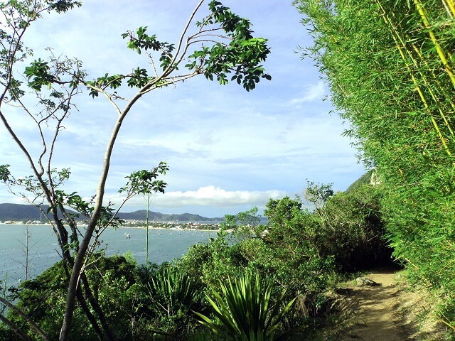 Trilha da Praia da Tainha (Foto: Turismo Bombinhas)