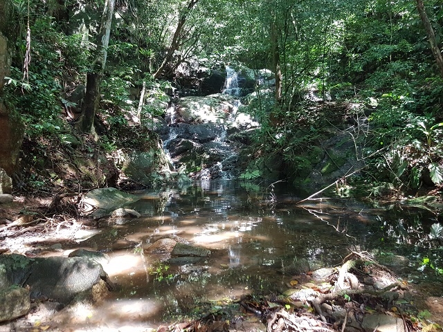 Vista da Cachoeira da Praia Triste na Costeira de Zimbros. Fonte: Rodrigo Dalri.
