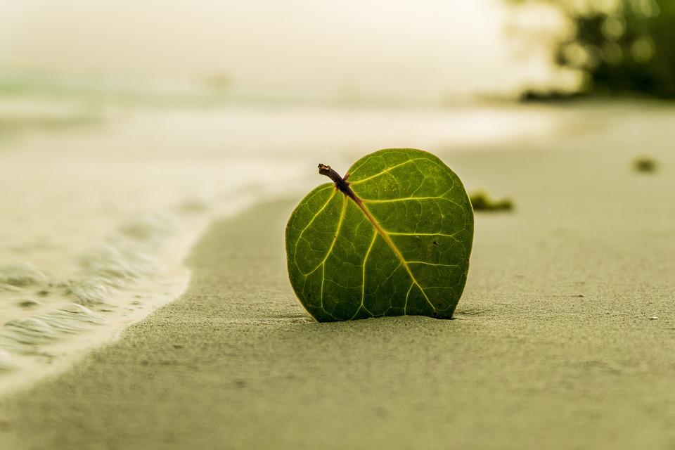 O clima de Bombinhas no outono é equilibrado e predominantemente ensolarado. Fonte: Pixabay.